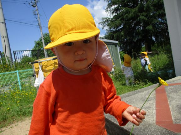 園庭散策をしたよ(りす組)